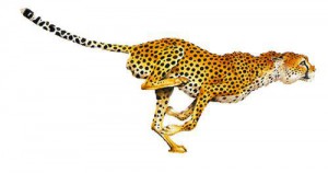 BTC 2018 Outdoor Training Starts April 23